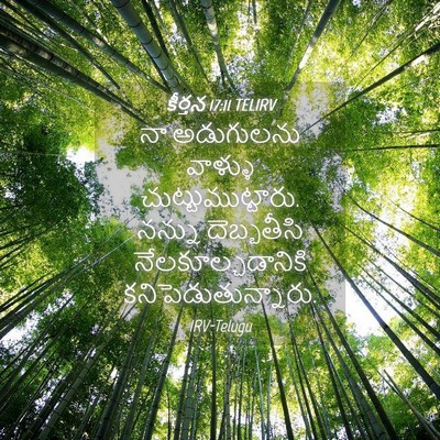 Picture 04 - కీర్తన 17:11 TELIRV - నా అడుగులను - Bible Verse Picture