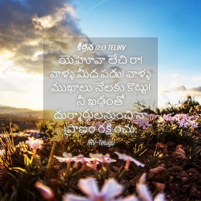 Picture 04 - కీర్తన 17:13 TELIRV - యెహోవా లేచి రా! - Bible Verse Picture