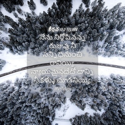 Picture 04 - కీర్తన 17:2 TELIRV - నేను నిర్దోషినన్న - Bible Verse Picture