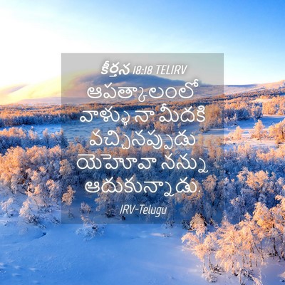 Picture 04 - కీర్తన 18:18 TELIRV - ఆపత్కాలంలో వాళ్ళు - Bible Verse Picture