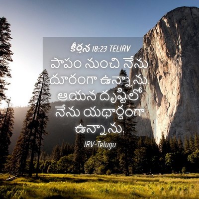 Picture 04 - కీర్తన 18:23 TELIRV - పాపం నుంచి నేను - Bible Verse Picture