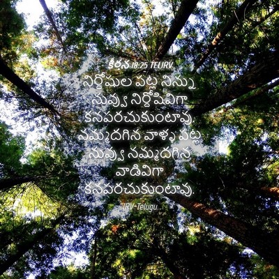 Picture 04 - కీర్తన 18:25 TELIRV - నిర్దోషుల పట్ల - Bible Verse Picture