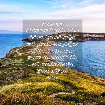 Picture 04 - కీర్తన 19:7 TELIRV - యెహోవా నియమించిన - Bible Verse Picture