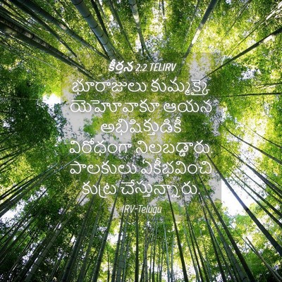 Picture 04 - కీర్తన 2:2 TELIRV - భూరాజులు - Bible Verse Picture