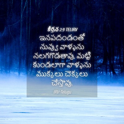 Picture 04 - కీర్తన 2:9 TELIRV - ఇనపదండంతో నువ్వు - Bible Verse Picture
