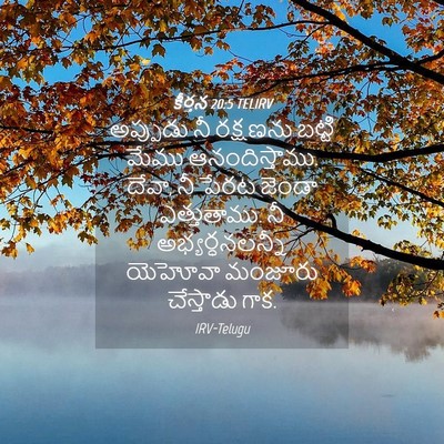 Picture 04 - కీర్తన 20:5 TELIRV - అప్పుడు నీ - Bible Verse Picture