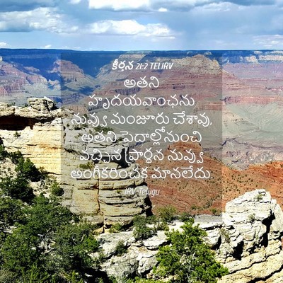 Picture 04 - కీర్తన 21:2 TELIRV - అతని హృదయవాంఛను - Bible Verse Picture