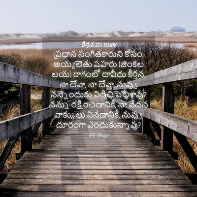 Picture 04 - కీర్తన 22:1 TELIRV - ప్రధాన - Bible Verse Picture