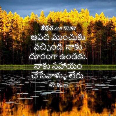 Picture 04 - కీర్తన 22:11 TELIRV - ఆపద ముంచుకు - Bible Verse Picture
