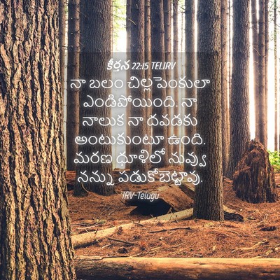 Picture 04 - కీర్తన 22:15 TELIRV - నా బలం - Bible Verse Picture