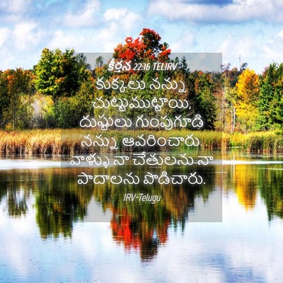 Picture 04 - కీర్తన 22:16 TELIRV - కుక్కలు నన్ను - Bible Verse Picture