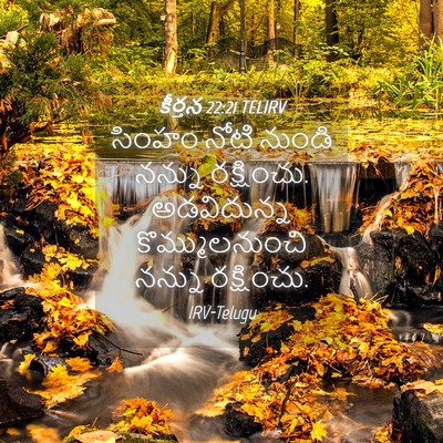 Picture 04 - కీర్తన 22:21 TELIRV - సింహం నోటి నుండి - Bible Verse Picture