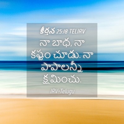Picture 04 - కీర్తన 25:18 TELIRV - నా బాధ, నా కష్టం - Bible Verse Picture