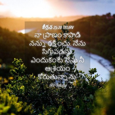 Picture 04 - కీర్తన 25:20 TELIRV - నా ప్రాణం కాపాడి - Bible Verse Picture