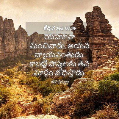 Picture 04 - కీర్తన 25:8 TELIRV - యెహోవా మంచివాడు, - Bible Verse Picture