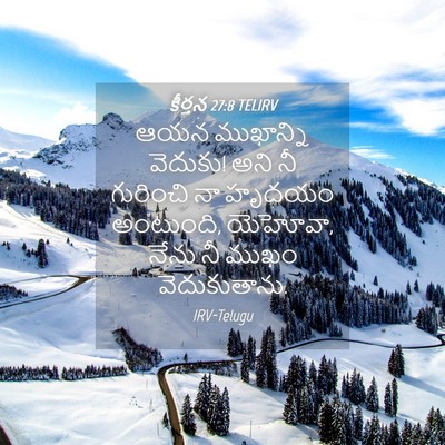Picture 04 - కీర్తన 27:8 TELIRV - ఆయన ముఖాన్ని - Bible Verse Picture