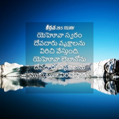 Picture 04 - కీర్తన 29:5 TELIRV - యెహోవా స్వరం - Bible Verse Picture