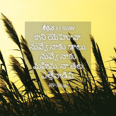 Picture 04 - కీర్తన 3:3 TELIRV - కాని యెహోవా, - Bible Verse Picture