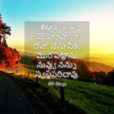 Picture 04 - కీర్తన 30:2 TELIRV - యెహోవా, నా దేవా, - Bible Verse Picture