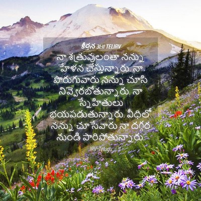 Picture 04 - కీర్తన 31:11 TELIRV - నా శత్రువులంతా - Bible Verse Picture