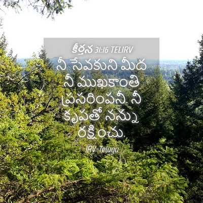 Picture 04 - కీర్తన 31:16 TELIRV - నీ సేవకుని మీద నీ - Bible Verse Picture