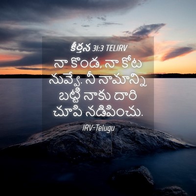Picture 04 - కీర్తన 31:3 TELIRV - నా కొండ, నా కోట - Bible Verse Picture