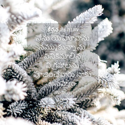 Picture 04 - కీర్తన 31:6 TELIRV - నేను యెహోవాను - Bible Verse Picture