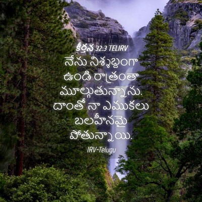 Picture 04 - కీర్తన 32:3 TELIRV - నేను నిశ్శబ్దంగా - Bible Verse Picture