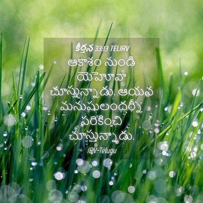 Picture 04 - కీర్తన 33:13 TELIRV - ఆకాశం నుండి - Bible Verse Picture