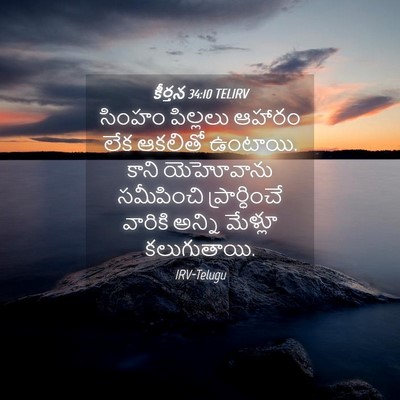 Picture 04 - కీర్తన 34:10 TELIRV - సింహం పిల్లలు - Bible Verse Picture