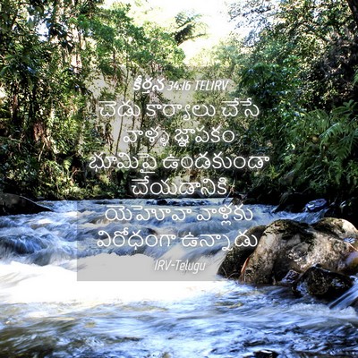 Picture 04 - కీర్తన 34:16 TELIRV - చెడు కార్యాలు - Bible Verse Picture