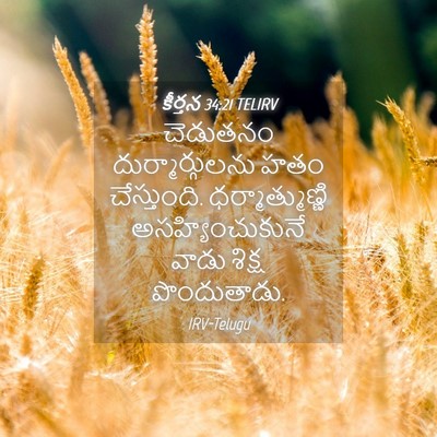 Picture 04 - కీర్తన 34:21 TELIRV - చెడుతనం - Bible Verse Picture
