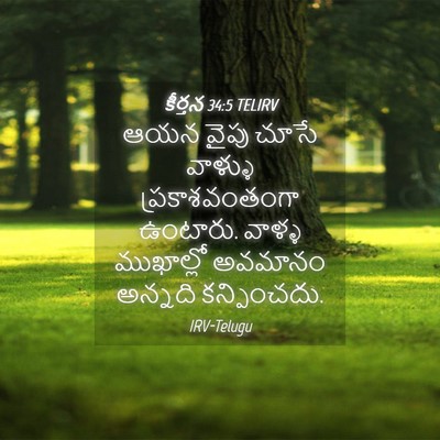 Picture 04 - కీర్తన 34:5 TELIRV - ఆయన వైపు చూసే - Bible Verse Picture