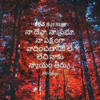 Picture 04 - కీర్తన 35:23 TELIRV - నా దేవా, నా ప్రభూ, - Bible Verse Picture