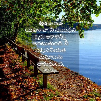 Picture 04 - కీర్తన 36:5 TELIRV - యెహోవా, నీ నిబంధన - Bible Verse Picture