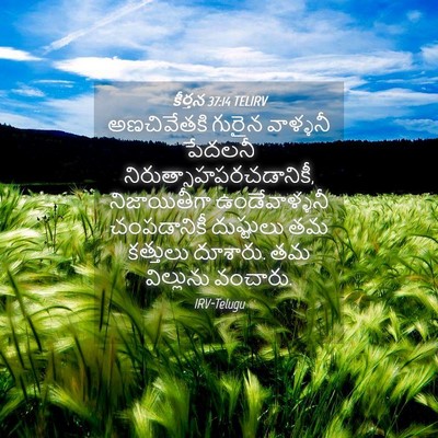 Picture 04 - కీర్తన 37:14 TELIRV - అణచివేతకి గురైన - Bible Verse Picture