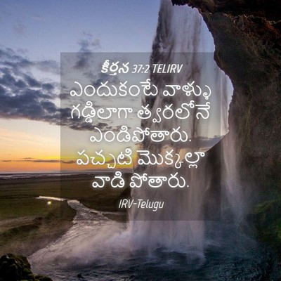 Picture 04 - కీర్తన 37:2 TELIRV - ఎందుకంటే వాళ్ళు - Bible Verse Picture