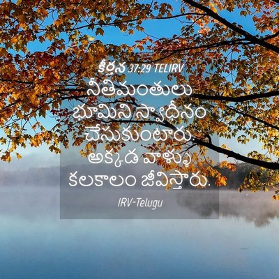 Picture 04 - కీర్తన 37:29 TELIRV - నీతిమంతులు భూమిని - Bible Verse Picture