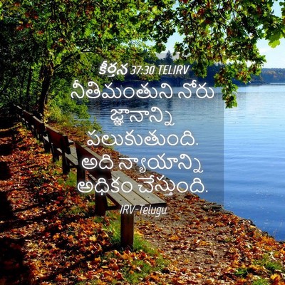 Picture 04 - కీర్తన 37:30 TELIRV - నీతిమంతుని నోరు - Bible Verse Picture