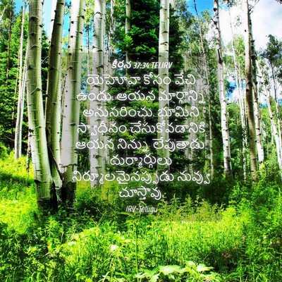 Picture 04 - కీర్తన 37:34 TELIRV - యెహోవా కోసం వేచి - Bible Verse Picture