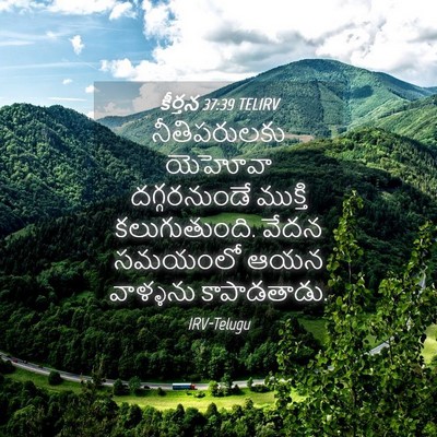 Picture 04 - కీర్తన 37:39 TELIRV - నీతిపరులకు యెహోవా - Bible Verse Picture