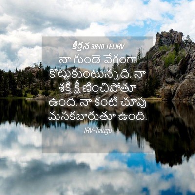 Picture 04 - కీర్తన 38:10 TELIRV - నా గుండె వేగంగా - Bible Verse Picture