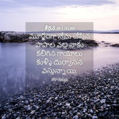 Picture 04 - కీర్తన 38:5 TELIRV - మూర్ఖంగా నేను - Bible Verse Picture