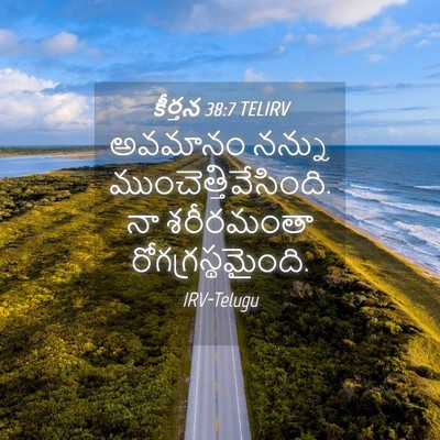 Picture 04 - కీర్తన 38:7 TELIRV - అవమానం నన్ను - Bible Verse Picture
