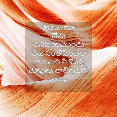 Picture 04 - కీర్తన 39:13 TELIRV - నేను చనిపోయేముందు - Bible Verse Picture
