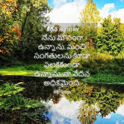 Picture 04 - కీర్తన 39:2 TELIRV - నేను మౌనంగా - Bible Verse Picture