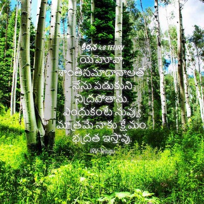 Picture 04 - కీర్తన 4:8 TELIRV - యెహోవా, - Bible Verse Picture