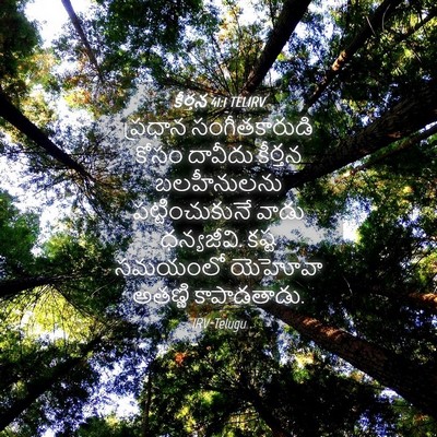 Picture 04 - కీర్తన 41:1 TELIRV - ప్రధాన - Bible Verse Picture