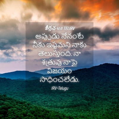 Picture 04 - కీర్తన 41:11 TELIRV - అప్పుడు నేనంటే - Bible Verse Picture