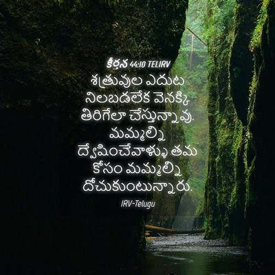 Picture 04 - కీర్తన 44:10 TELIRV - శత్రువుల ఎదుట - Bible Verse Picture